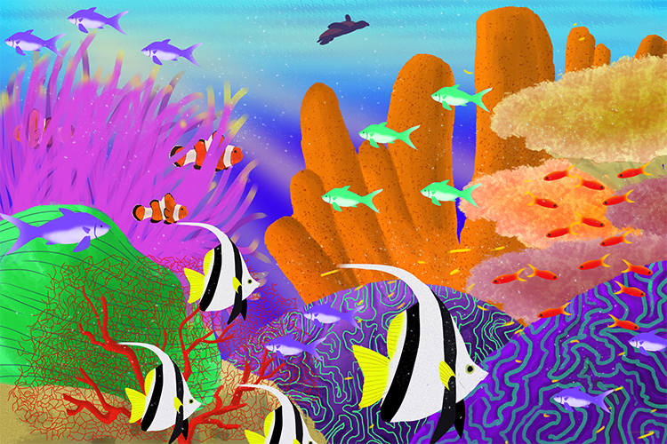 A coral reef is home to corals, fish, shrimps, algae and plankton among others